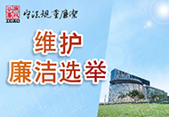  维护廉洁选举